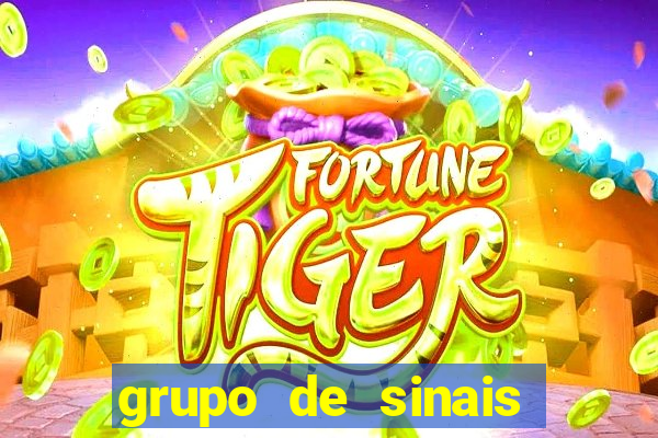 grupo de sinais fortune rabbit